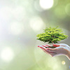 ©Chinnapong - stock.adobe.com, Chinnapong - stock.adobe.com