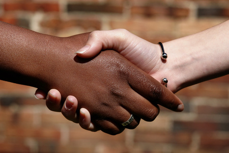 Handschlag - handshake / bilderbox.at