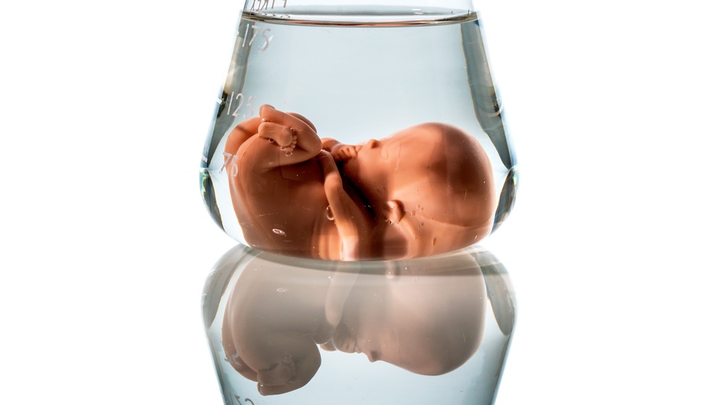 Modell eines Embryos in einem Laborglas. Symbolfoto für Schwangerschaft durch künstliche Befruchtung. Abtreibung und Genmanipulation
