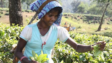 Missio Österreich begeht Monat der Weltmission mit Fokus auf Indien