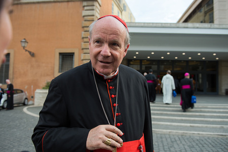 Synodenpapier: Schönborn vermisst prophetisches Wort zu Migration