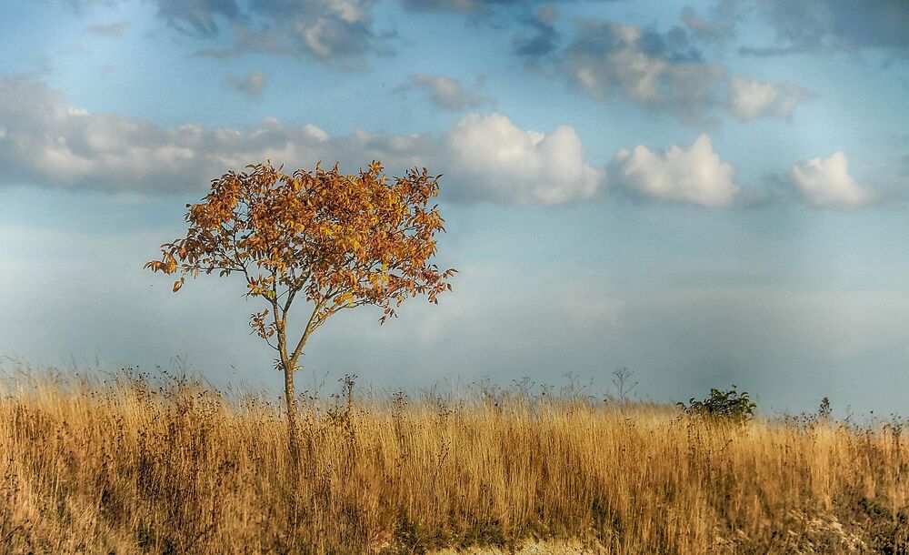 Trockene Landschaft / pixabay / selenee Trockene Landschaft