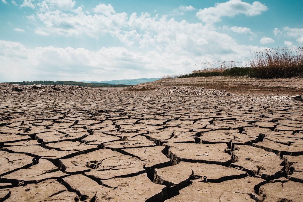 Dürre infolge des Klimawandels / Dominika P via pexels / CC0