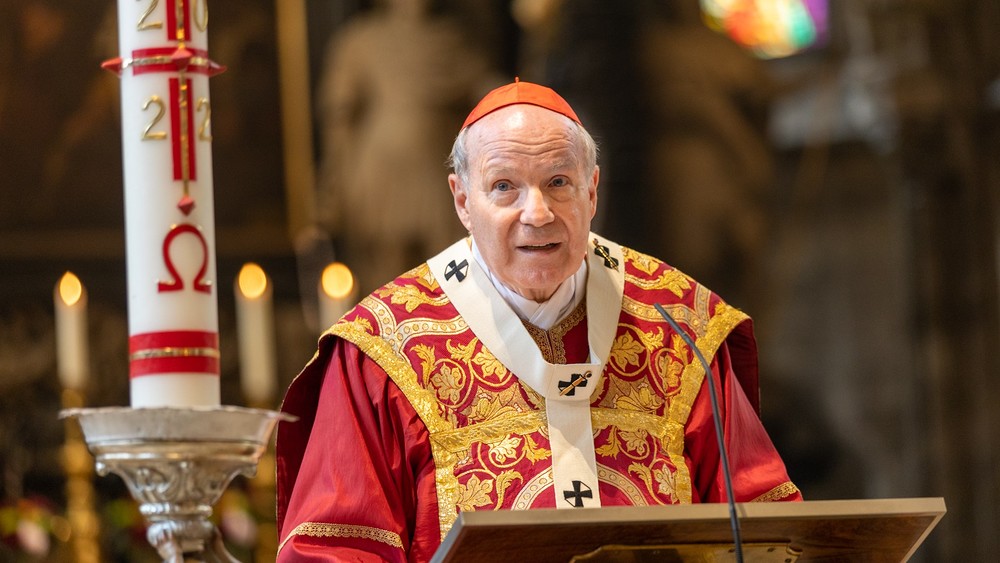 Kardinal Schönborn beim Pfingstgottesdienst im Stephansdom / Erzdiözese Wien/ Stephan Schönlaub