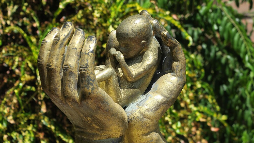 Embryo mit schützenden Händen / pixabay.com / H. Hach Embryo mit schützenden Händen