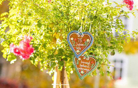 Katholische Frauenbewegung Steiermark feiert 75-jähriges Bestehen