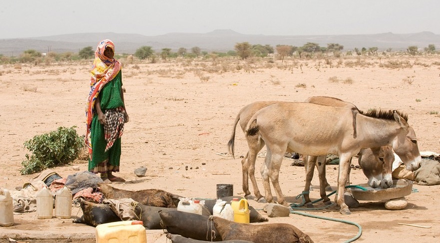 Betroffene der Dürrekrise in Äthiopien / Caritas Internationalis