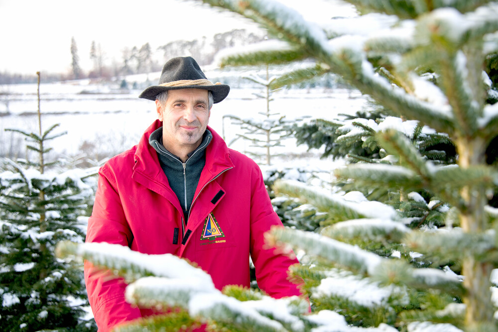 Auch Österreichs Christbaumbauern melden Dürreschäden