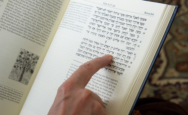 Bibel auf hebräisch und deutsch / kathbild.at / Rupprecht
