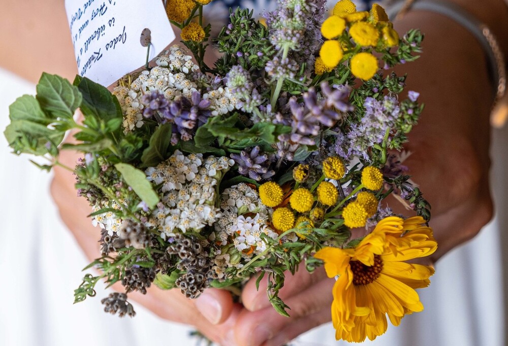 Brauchtum: Kräutersegnungen zu Mariä Himmelfahrt
