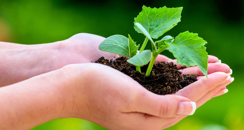 Umwelt, Ökologie / bilderbox.com / Erwin Wodicka Kirche begleitet mit zahlreichen Impulsen durch die Fastenzeit