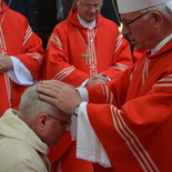 Weihe von Werner Freistetter am 11. Juni 2015 im Wiener Neustädter Dom