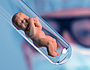 Retortenbaby [ (c) www.BilderBox.com, Erwin Wodicka, Siedlerzeile 3, A-4062 Thening, Tel. + 43 676 5103678.Verwendung nur gegen HONORAR, BELEG,URHEBERVERMERK und den AGBs auf bilderbox.com](in an im auf aus als and beim mit einer einem eines * & der 