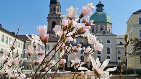 Innsbruck: Theologische Sommertage über 'Körper:Gender:Sexualität'