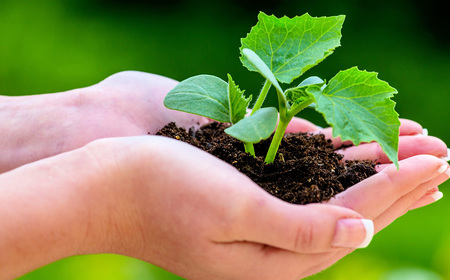 September: Kirchen starten in die 'Schöpfungszeit'