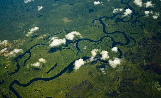 Der Widerstand gegen das vom brasilianischen Parlament verabschiedete Gesetz zur Vergabe von illegal besetztem Staatsland am Amazonas wächst. Umweltschützer halten das von der Agrarlobby durchgesetzte Gesetz für eine Bedrohung des Regenwaldes.Bild: