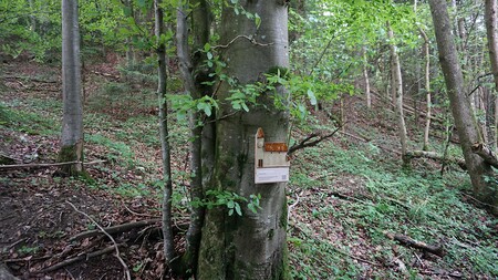 'Kirche am Weg' in Salzburg
