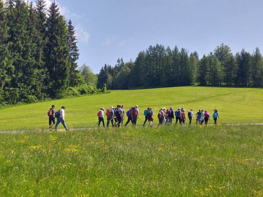Pilgergruppe einer Fußwallfahrt / kathpress/Pernsteiner Pilgergruppe einer Fußwallfahrt