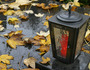 Herbst am Friedhof / Fall at the cemetery [ (c) www.BilderBox.com, Erwin Wodicka, Siedlerzeile 3, A-4062 Thening, Tel. + 43 676 5103678.Verwendung nur gegen HONORAR, BELEG,URHEBERVERMERK und den AGBs auf bilderbox.com](in an im auf aus als and beim m