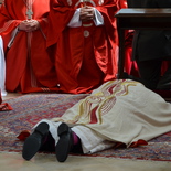 Weihe von Werner Freistetter am 11. Juni 2015 im Wiener Neustädter Dom