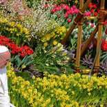 Feier des Ostergottesdienstes mit Papst Franziskus am Ostersonntag, 31. März 2013, auf dem Petersplatz in Rom.Bild: Papst Franziskus fährt nach dem Gottesdienst mit dem Papamobil durch die Menge der Gläubigen.