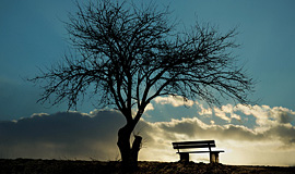 Petair - Fotolia.com