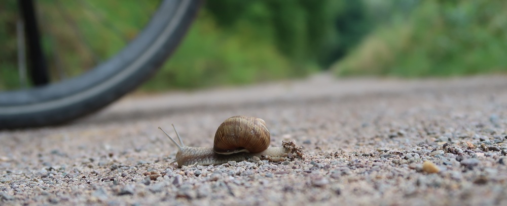 Sanfte Mobilität mit dem Fahrrad / Kathpress / Robert Mitscha-Eibl