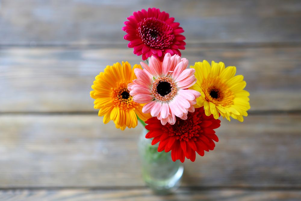 Blumenstrauß / istockphoto / Olha_Afanasieva Blumenstrauß