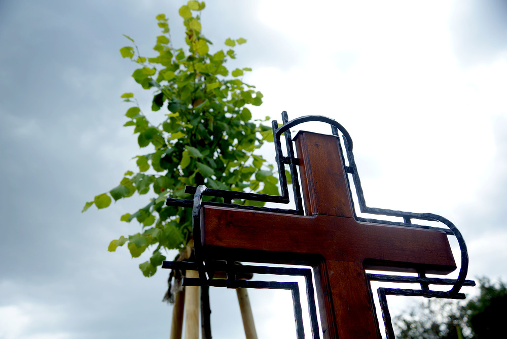 Versöhnungs-Kreuz und Gedenklinde an Grenze bei Kittsee