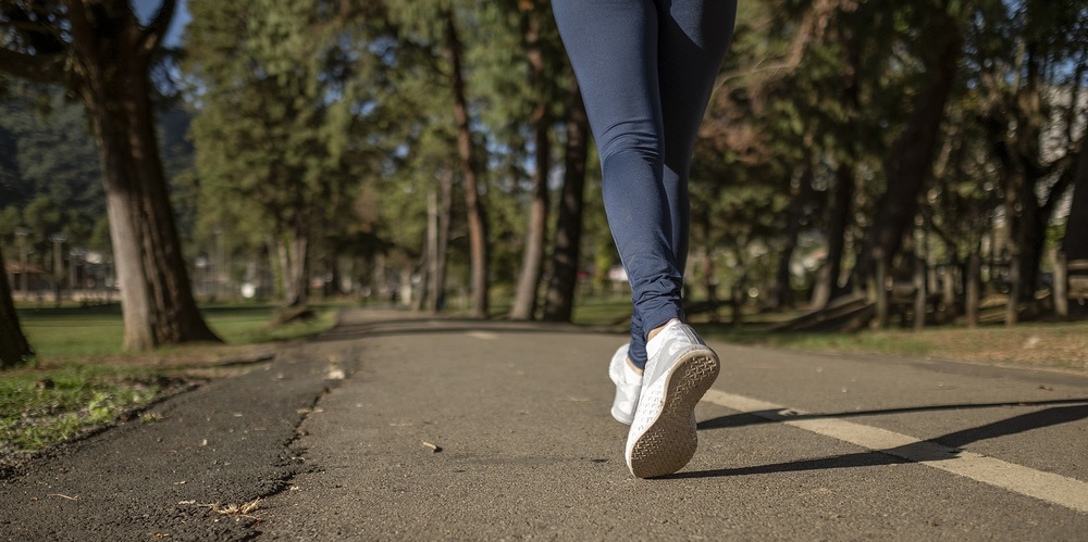 Bild von Daniel Reche auf Pixabay