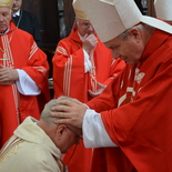 Weihe von Werner Freistetter am 11. Juni 2015 im Wiener Neustädter Dom