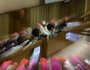 Rund 190 Kardinäle und Bischöfe aus der ganzen Welt in der Synodenaula des Vatikan, am zweiten Sitzungstag der Familiensynode am 07. Oktober 2014.