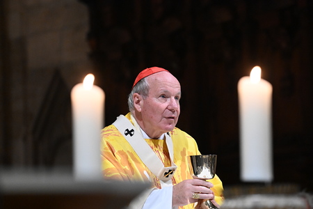 Kardinal Christoph Schönborn