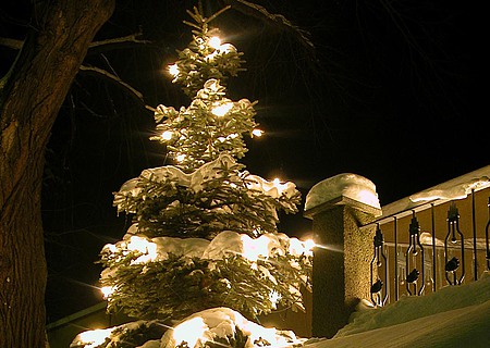 Weihnachtsbaum im Schnee bei Nacht / bilderbox.com