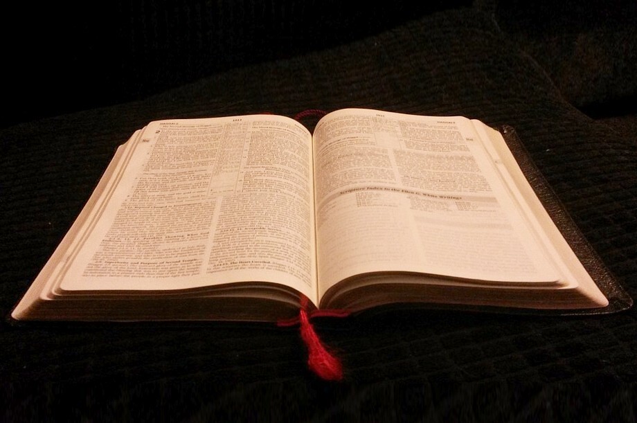 Bibel / pixabay.com / gemeinfrei Neue Bibel-Umfrage mit teils überraschenden Ergebnissen