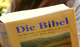 bilderbox.at