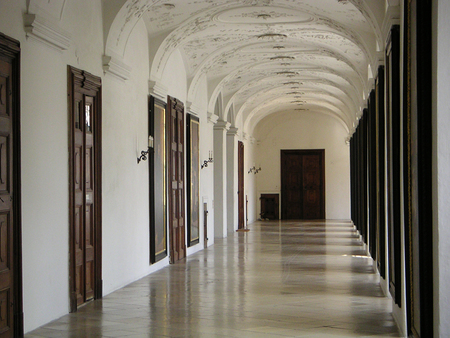 MINOLTA DIGITAL CAMERA         