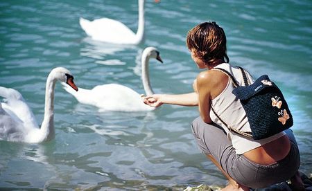 Frau beim Schwaenefuettern [ (c) www.BilderBox.com, Erwin Wodicka, Siedlerzeile 3, A-4062 Thening, Tel. + 43 676 5103678.Verwendung nur gegen HONORAR, BELEG,URHEBERVERMERK und den AGBs auf bilderbox.com](in an im auf aus als and beim mit einer einem 