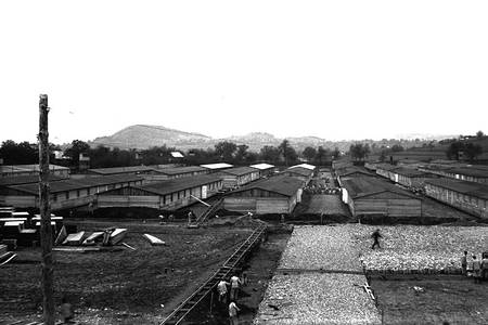 Mauthausen: Construcció dels camps