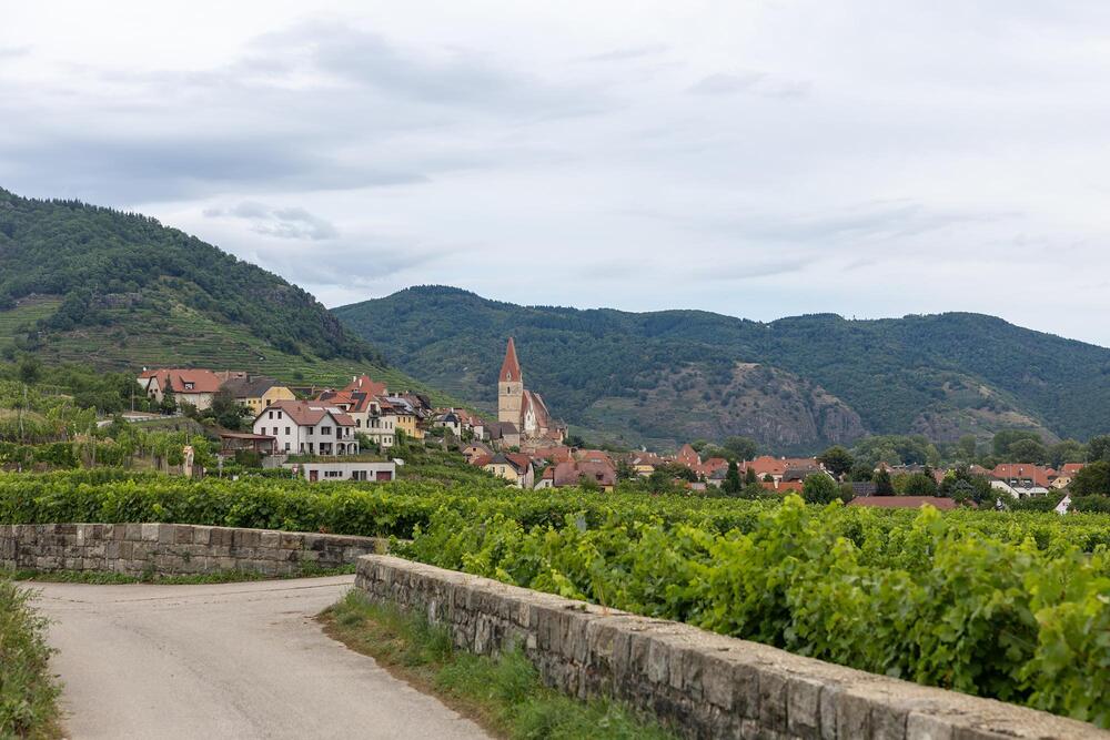 Diözese St. Pölten, Ruth Brožek Pilgern am Welterbesteig von Spitz an der Donau nach Weißenkirchen in der Wachau