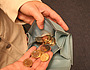 Geldboerse mit Muenzen / Money purse with coins [ (c) www.BilderBox.com, Erwin Wodicka, Siedlerzeile 3, A-4062 Thening, Tel. + 43 676 5103678.Verwendung nur gegen HONORAR, BELEG,URHEBERVERMERK und den AGBs auf bilderbox.com](in an im auf aus als and 