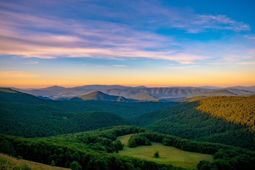 Bild von max_gloin auf Pixabay