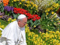Feier des Ostergottesdienstes mit Papst Franziskus am Ostersonntag, 31. März 2013, auf dem Petersplatz in Rom.Bild: Papst Franziskus fährt nach dem Gottesdienst mit dem Papamobil durch die Menge der Gläubigen.