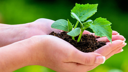 Am 1. September beginnt die kirchliche 'Schöpfungszeit'